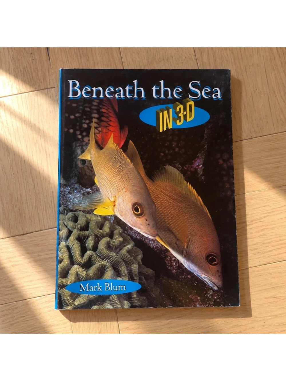 Beneath the Sea in 3D Mark Blum 1997 Vintage Ocean Marine Life Hardcover